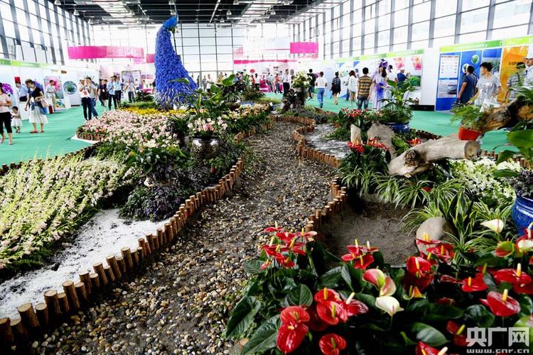 第五届新疆苗木花卉博览会在"西部苗都"呼图壁开幕(图)